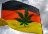 Germany paves way for legalization of cannabis for recreational use