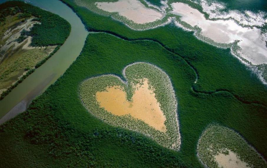 Photographer Yann Arthus-Bertrand has made known around the world a very small stretch of mangrove swamp in New Caledonia.