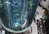 Berlin: the largest cylindrical aquarium in the world explodes in the middle of a hotel, at least 2 injured